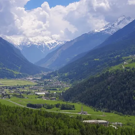 Rosa Di By World Bormio